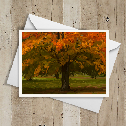 Autumn Canopy Note Cards