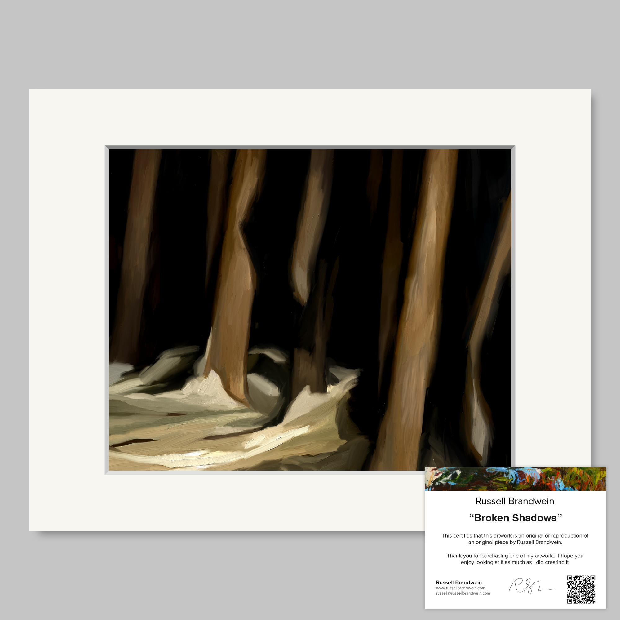 Broken Shadows Print