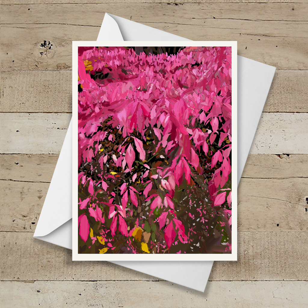 Burning Bush Note Cards