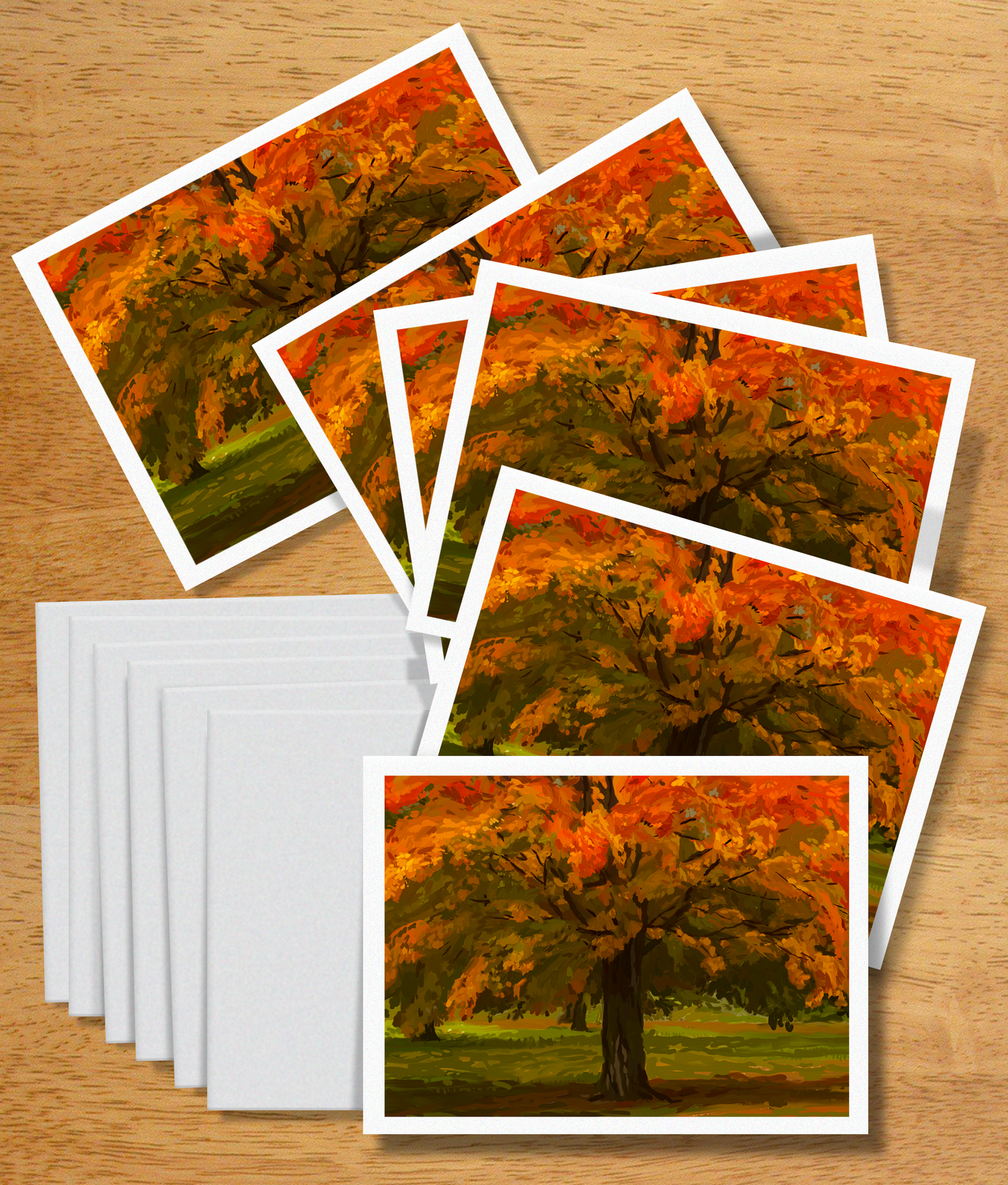 Autumn Canopy Note Cards