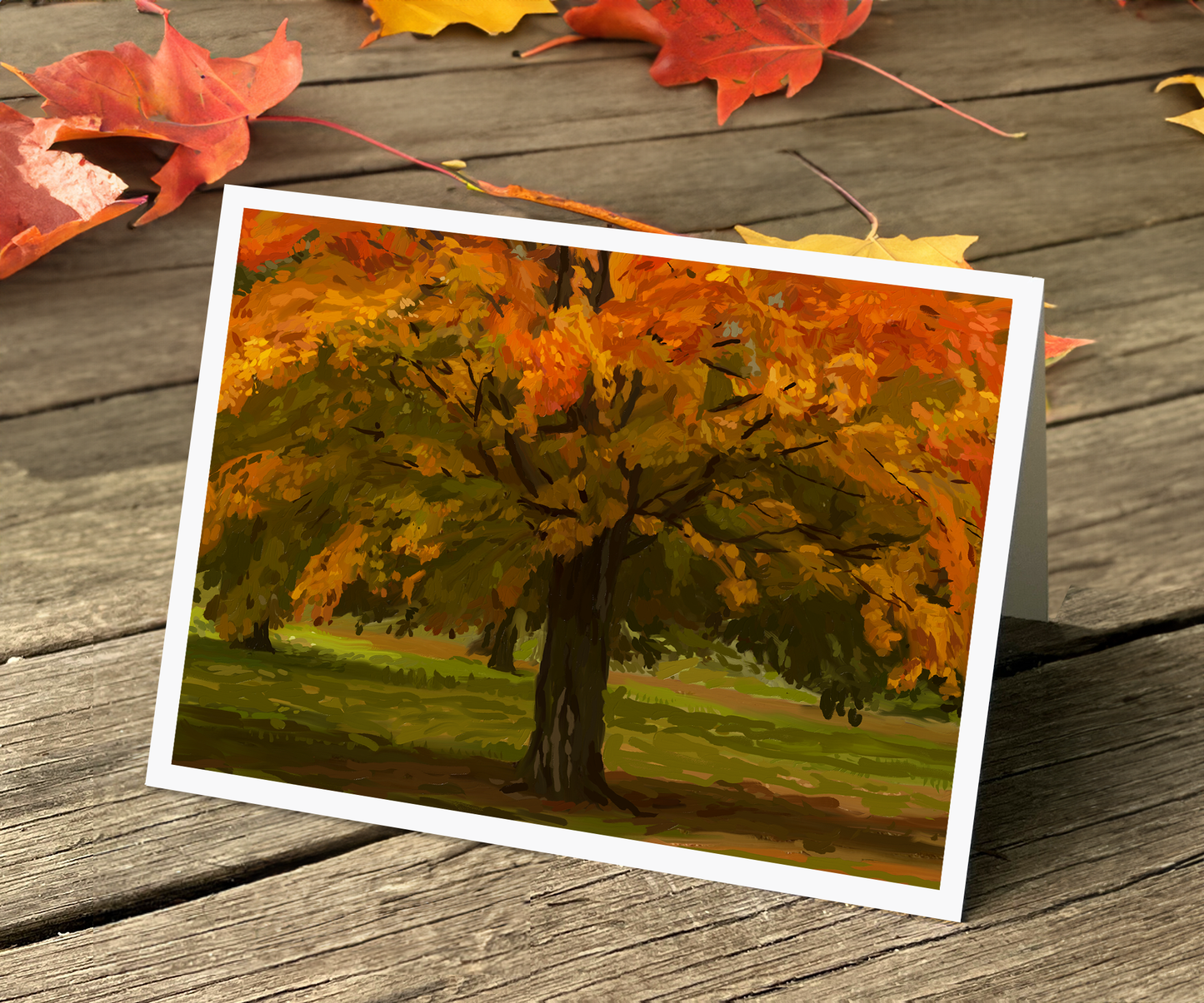 Autumn Canopy Note Cards