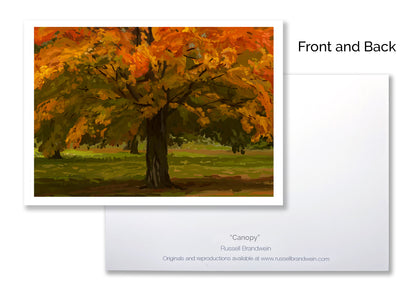 Autumn Canopy Note Cards