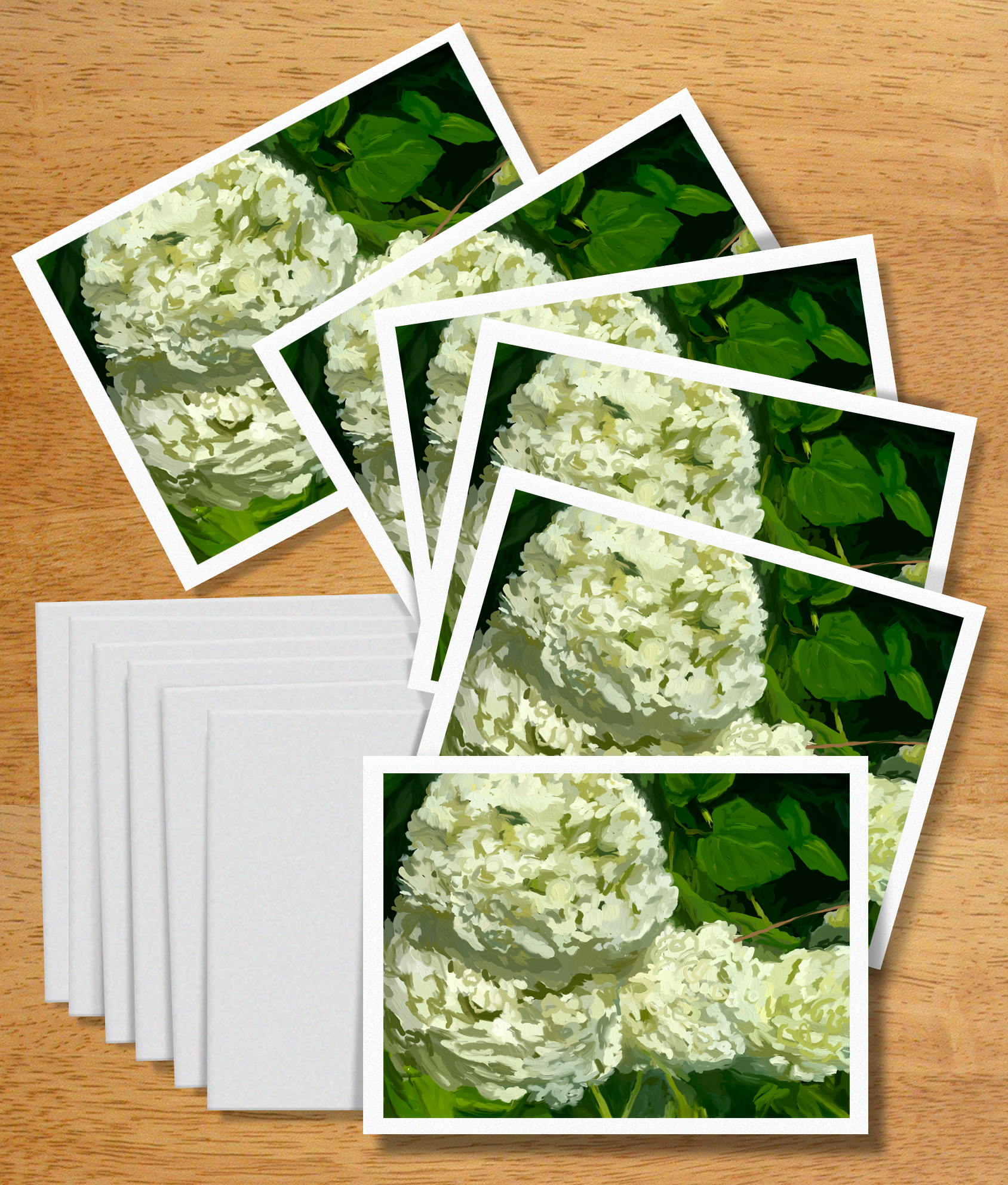 Hydrangeas III
