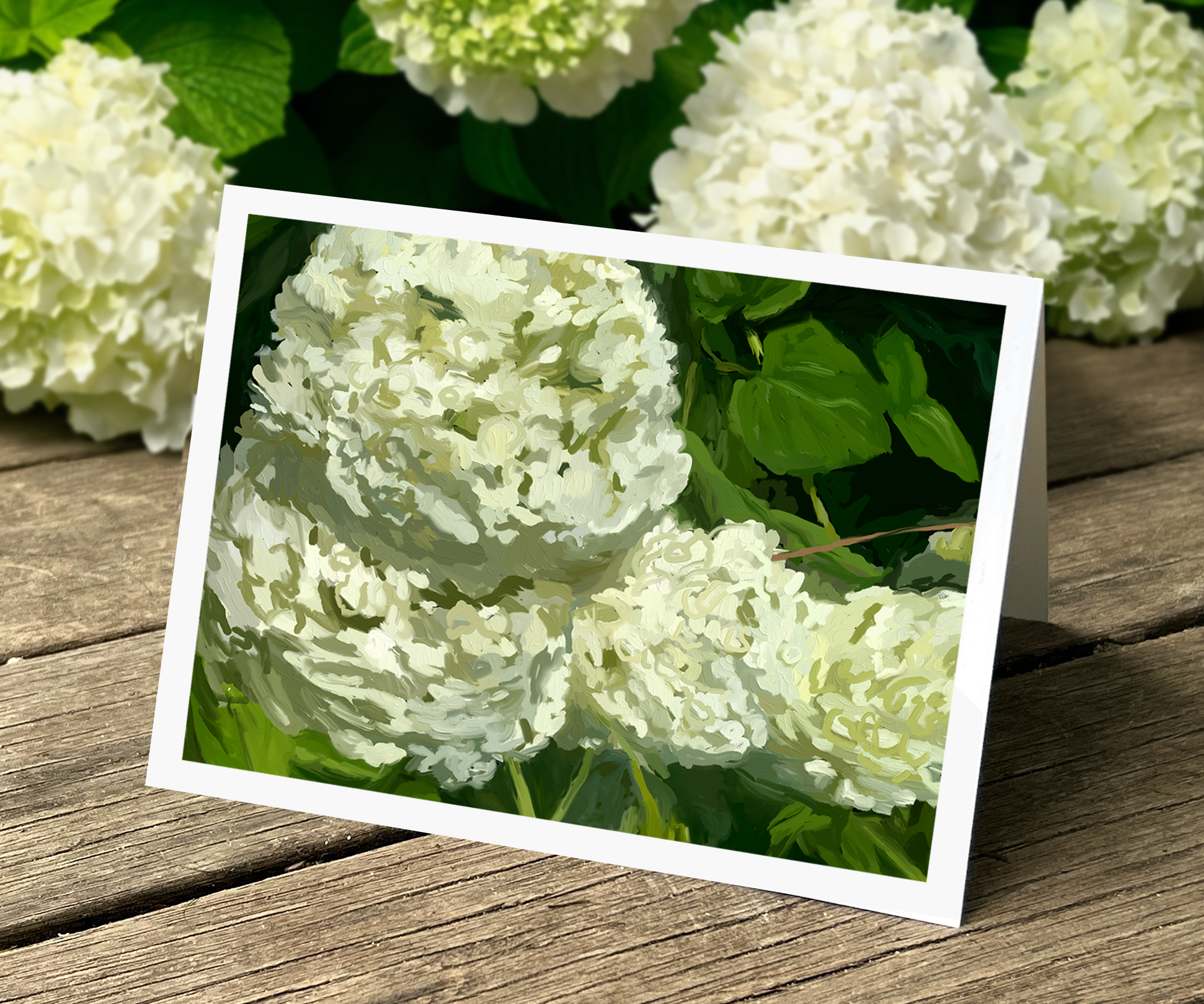 Hydrangeas III