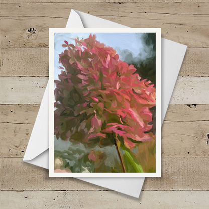 Hydrangea Blossom Note Cards