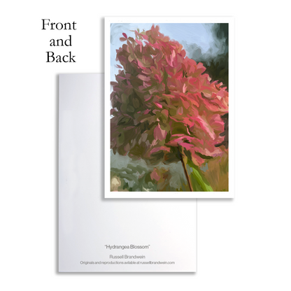 Hydrangea Blossom Note Cards