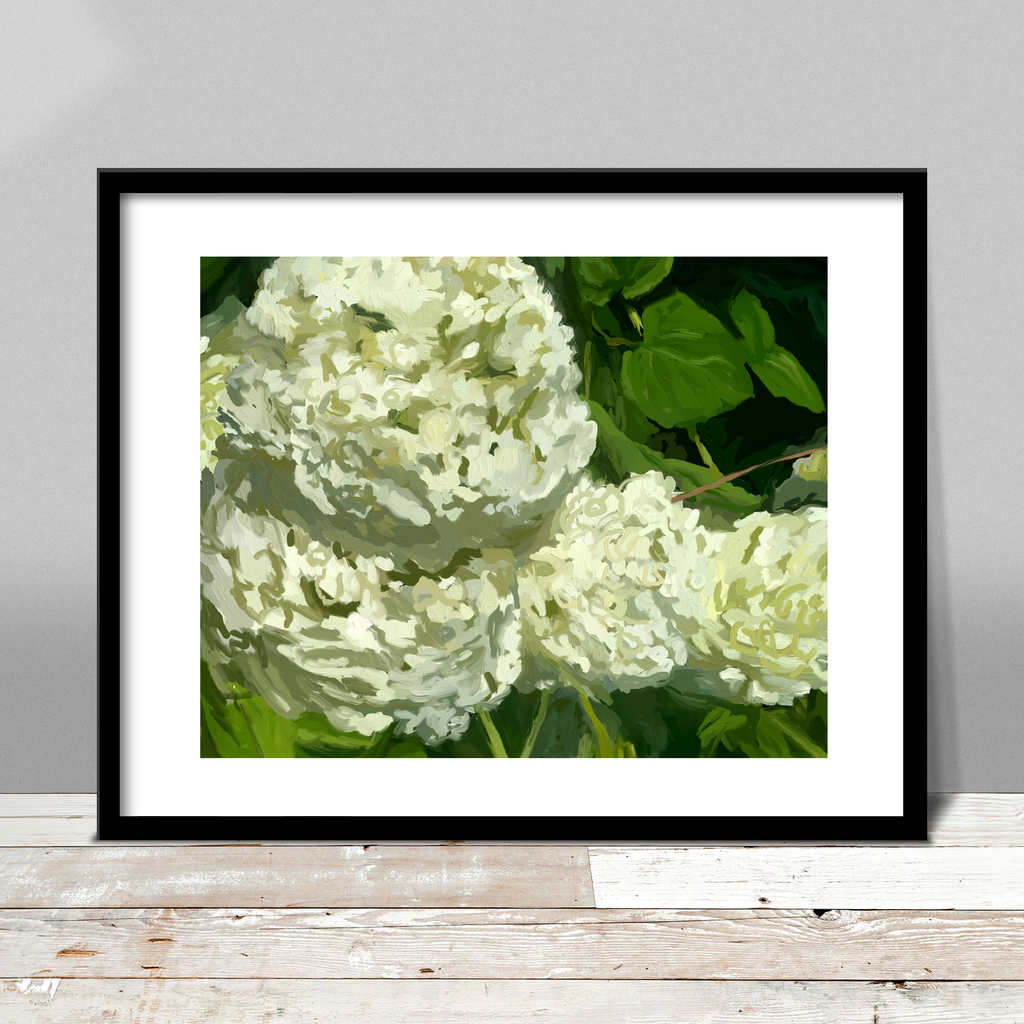 Hydrangeas III Print