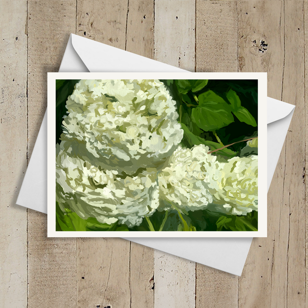 Hydrangeas III