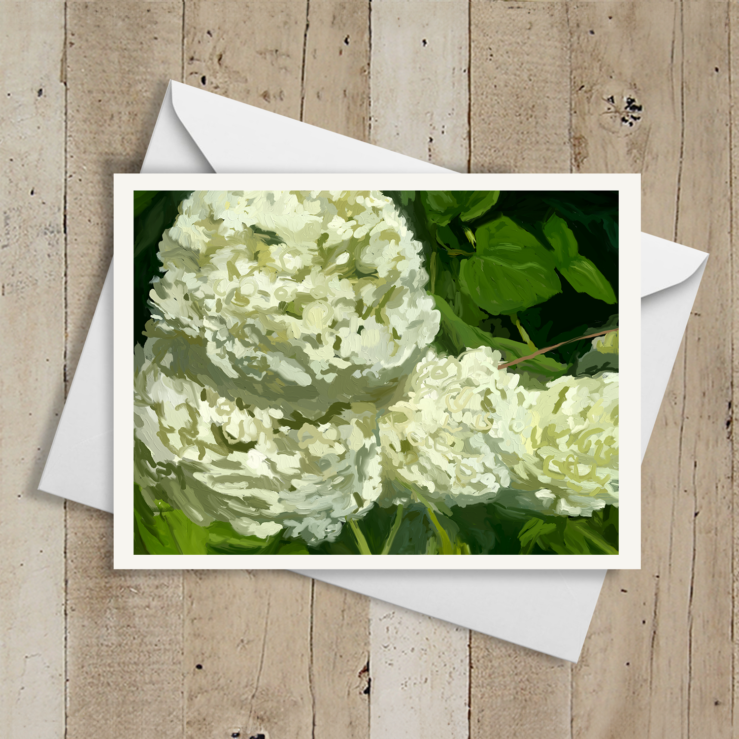 Hydrangeas III