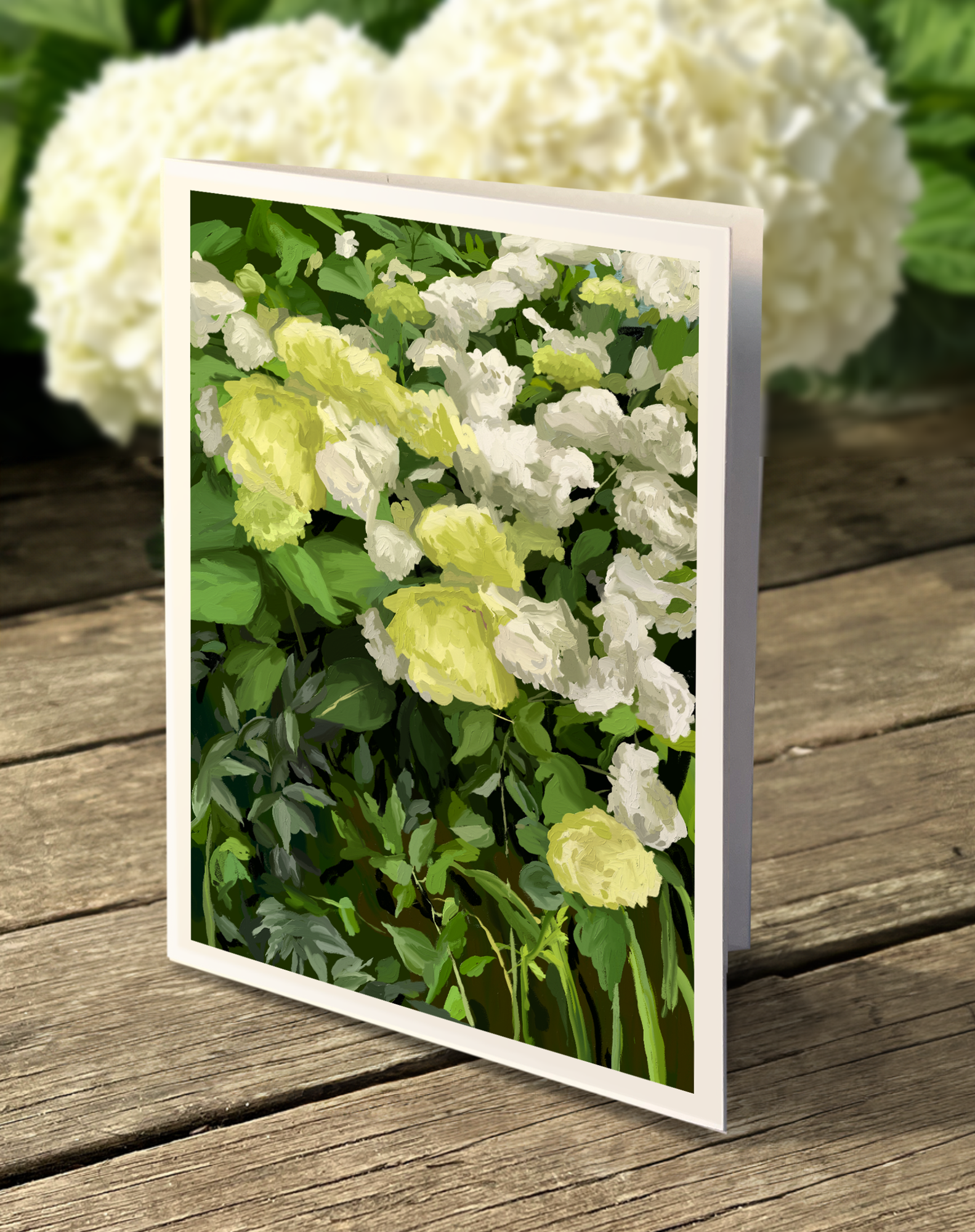 Hydrangeas