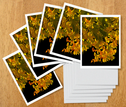 Illuminated Birch Note Cards