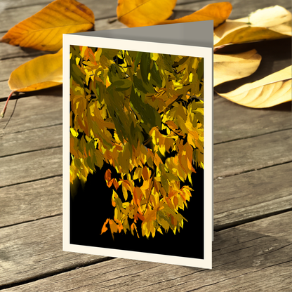 Illuminated Birch Note Cards