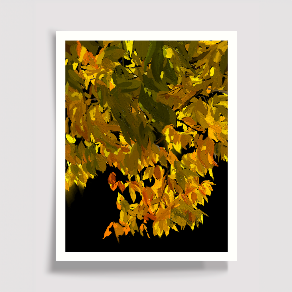 Illuminated Beech Print
