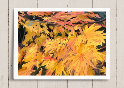 Japanese Maples in the Wind Note Cards