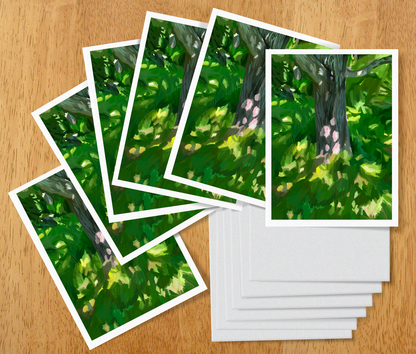 Light in the Grass Note Cards