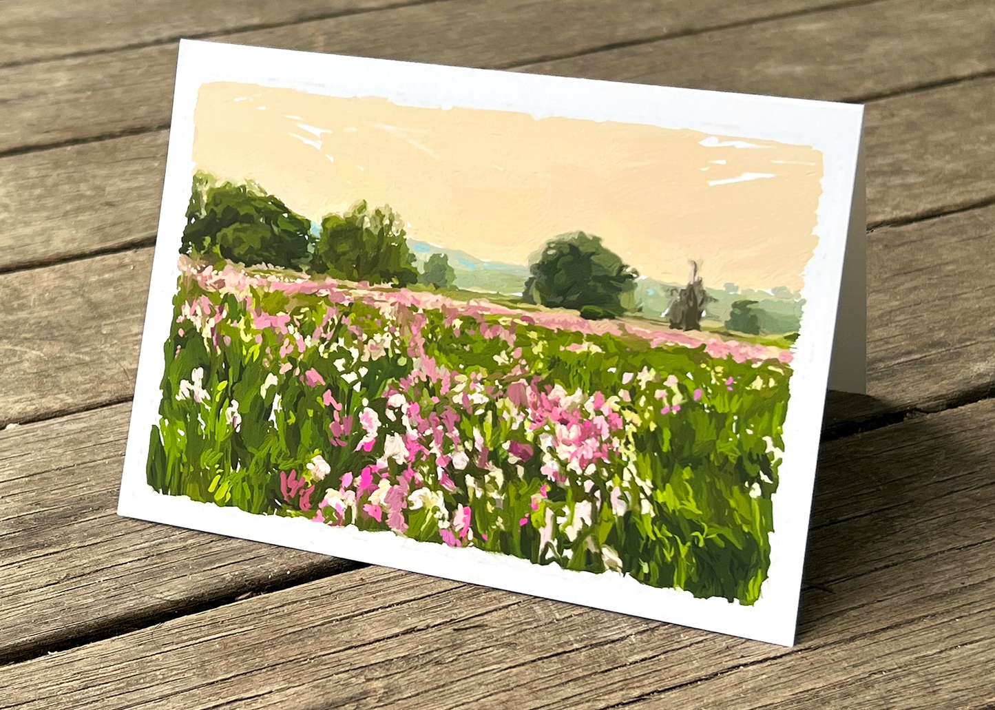 The Meadow Note Cards