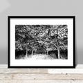 Night Walk Down the Driveway Print