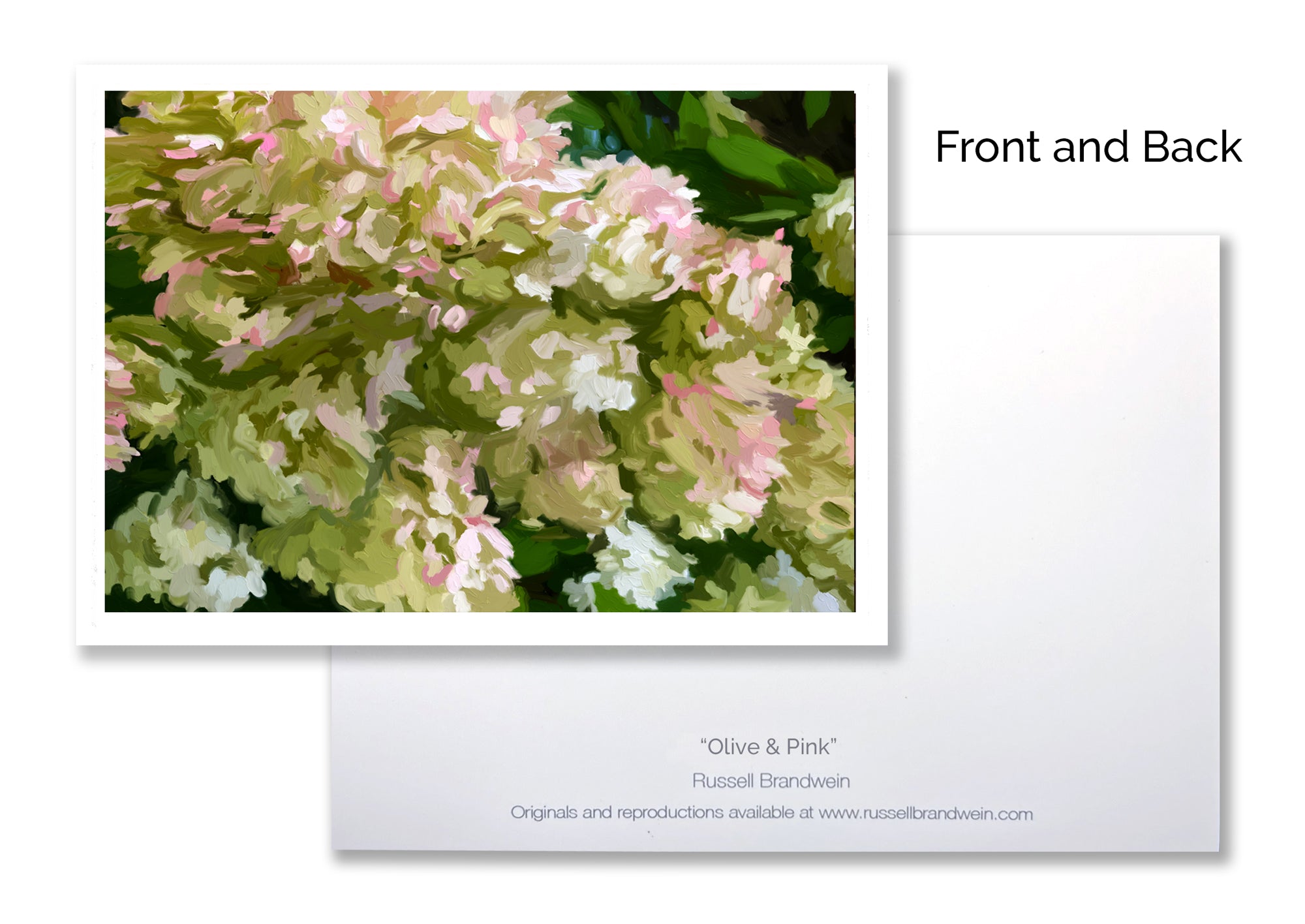 Olive and Pink Note Cards