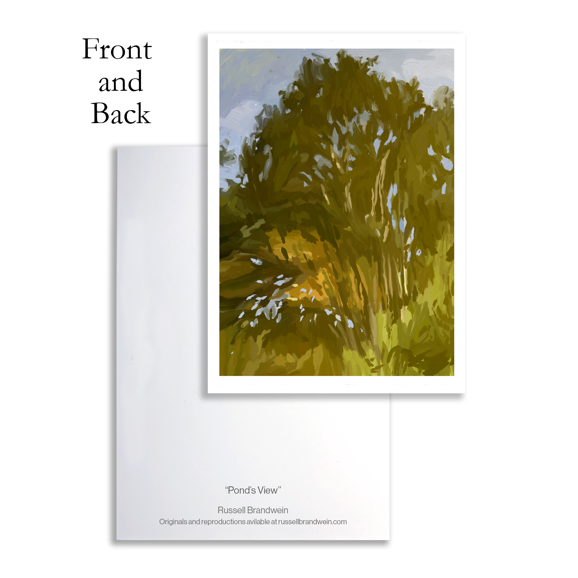Pond's View Note Cards