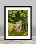 Reeds Print