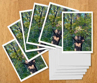 September Note Cards