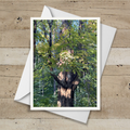 September Note Cards