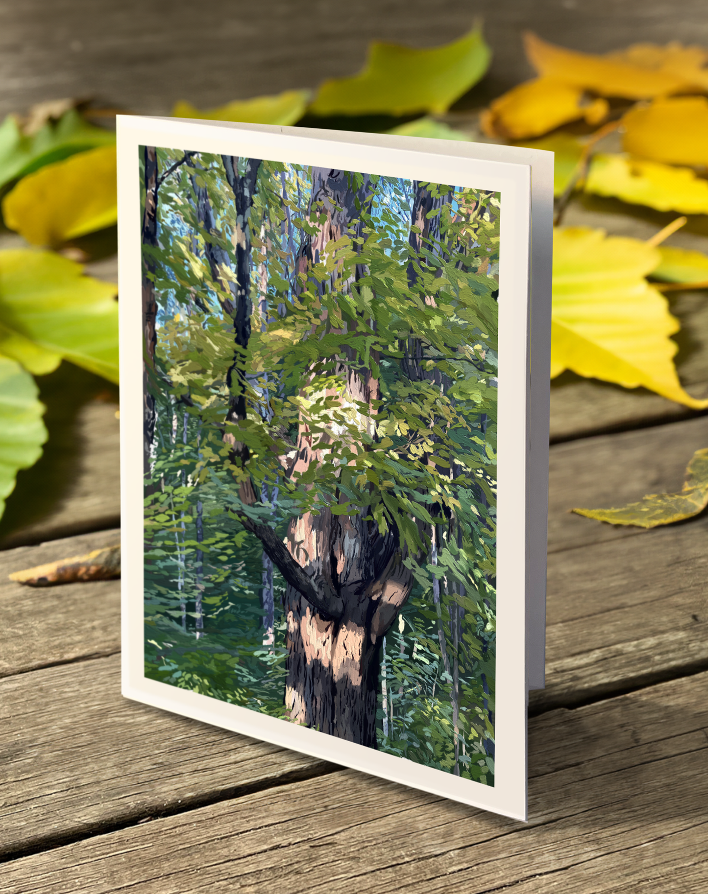 September Note Cards