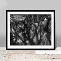 Shadows and Stones print by Russell Brandwein giving an expressionistic impression of a stone wall in a field that is covered in shadow play.
