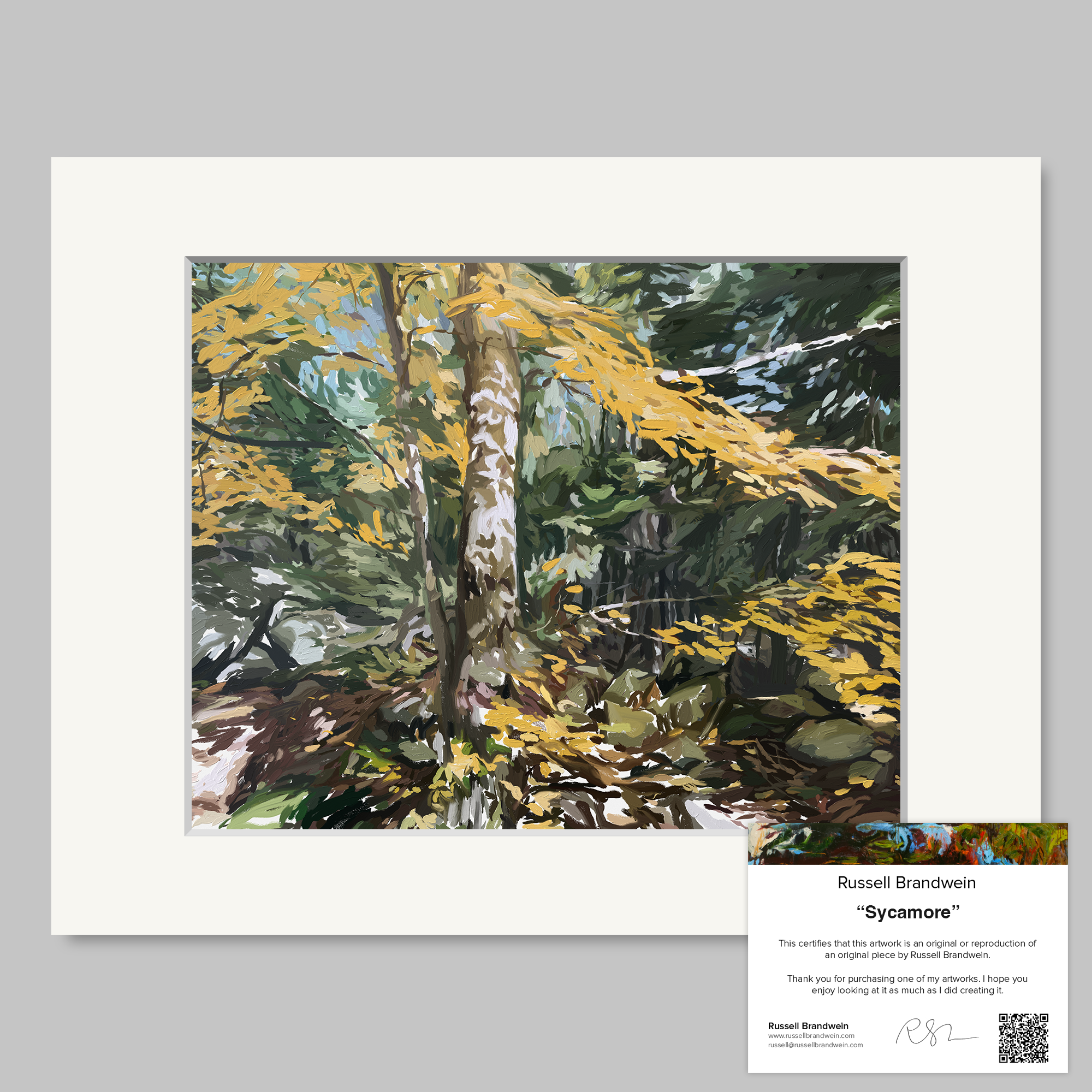 Sycamore Print