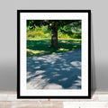The Driveway Print